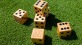 Dice